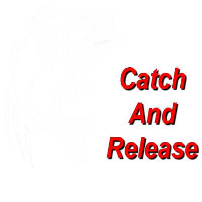 Catch and release