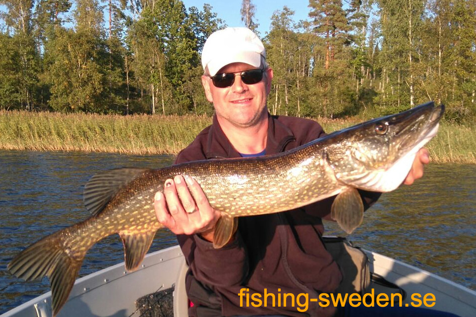 mooi weer vissen in Zweden
