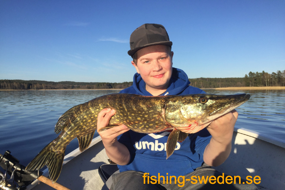 Vissen in Zweden, visvakantie
