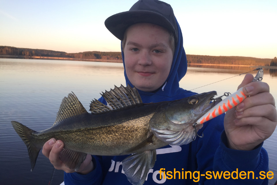 Snoekbaars vissen Zweden