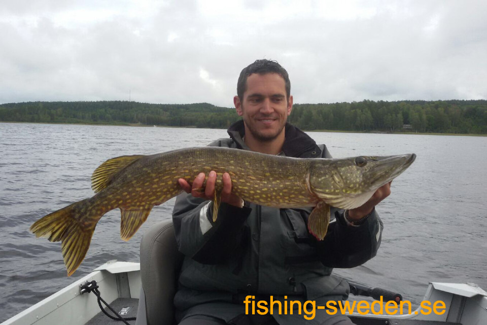 Big Pike fishing in Sweden, fishing holiday sweden