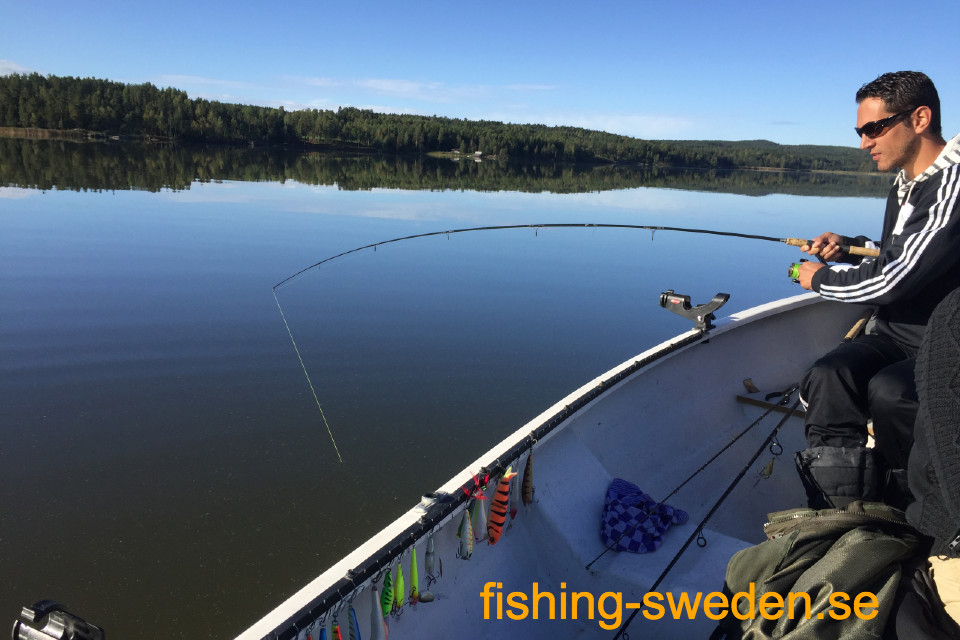 fishing in sweden, holiday, sweden