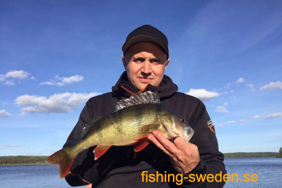 Baars vissen zweden, visvakantie zweden, vissen in zweden, Värmland vakantie