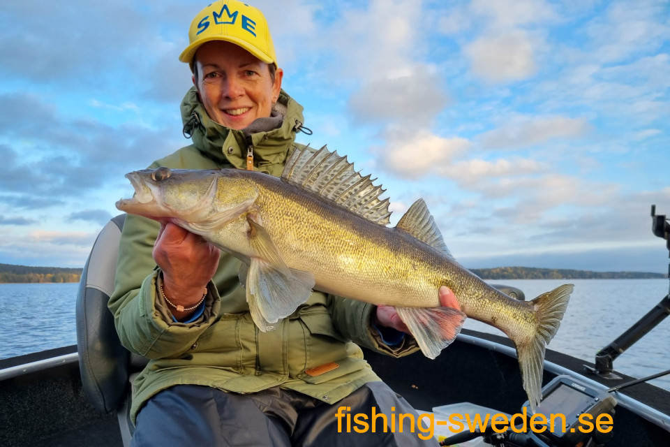 Snoekbaars vissen in zweden, visvakantie zweden, vissen in zweden