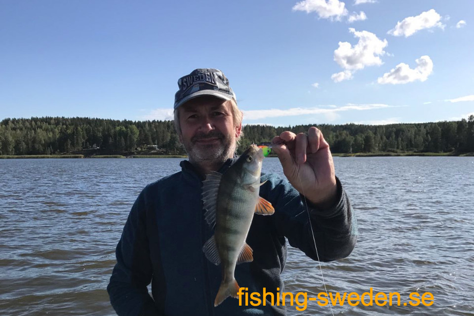 mooiste visvakantie in zweden, vissen in zweden, mega vissen
