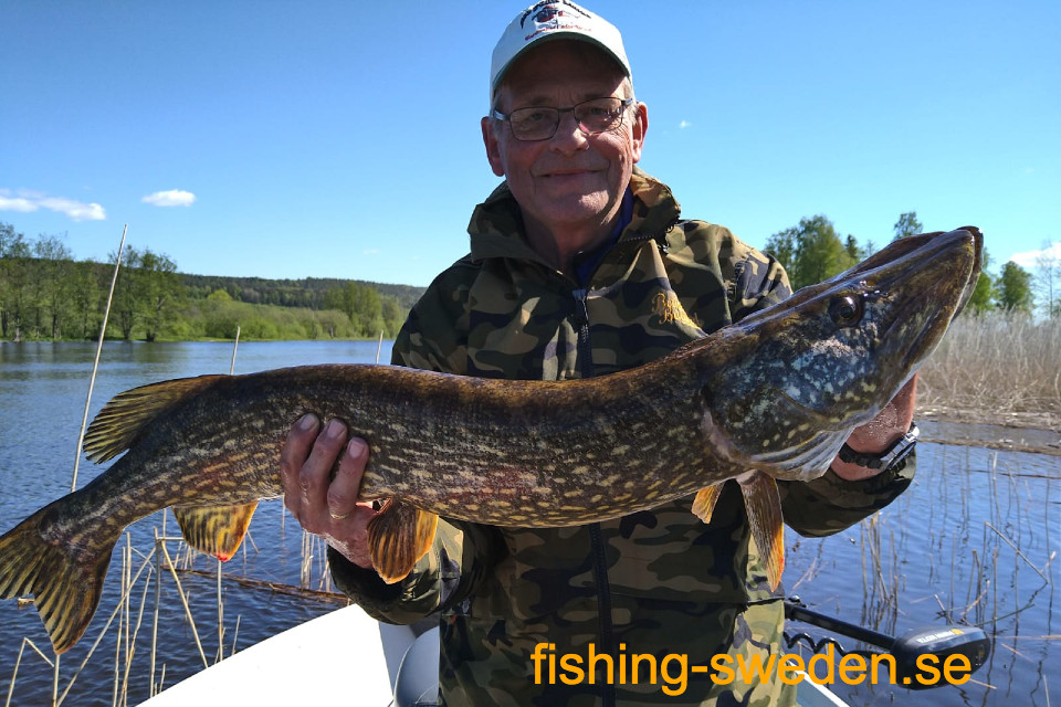georganiseerde visreizen naar zweden, visvakantie zweden, vissen met gids in zweden